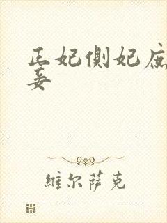 正妃侧妃庶妃侍妾