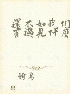 还不如我们从没有遇见什么歌