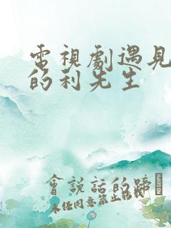 电视剧遇见爱情的利先生