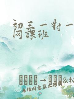 初三一对一语文网课班