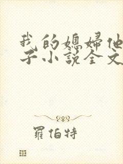 我的媳妇他的妻子小说全文阅读