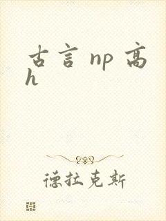 古言 np 高h