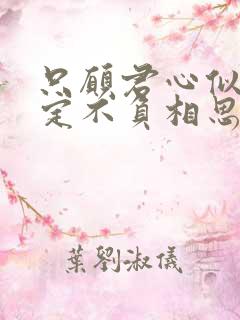 只愿君心似我心定不负相思意什么意思