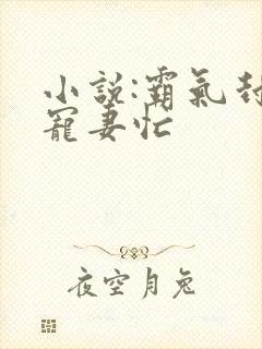 小说:霸气封少宠妻忙