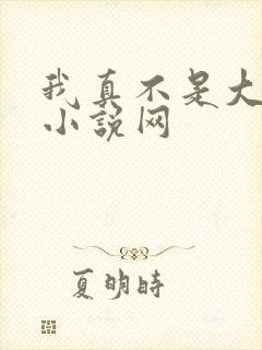 我真不是大佬 小说网