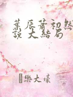叶辰萧初然 小说 大结局