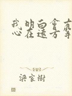 我明白会有一颗心在远方等我靠近什么歌