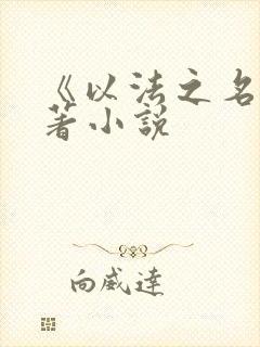 《以法之名》原著小说