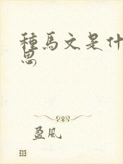 种马文是什么意思