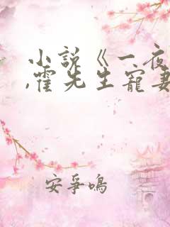 小说《一夜情深,霍先生宠妻无度》