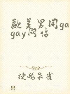 欧美男同gaygay网站