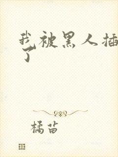 我被黑人插进去了