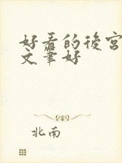 好看的后宫小说文笔好