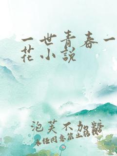 一世青春一路繁花小说