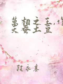 万相之王,作者天蚕土豆