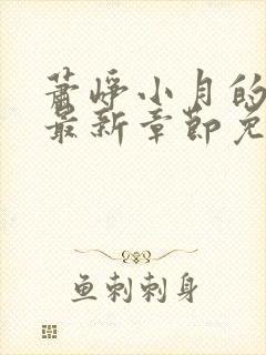 萧峥小月的小说最新章节免费阅读全文