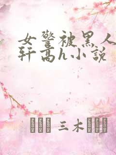 女警被黑人强伦轩高h小说