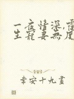 一夜情深,霍先生宠妻无度 小说完整