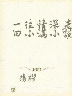 一往情深老田和田小满小说免费阅读