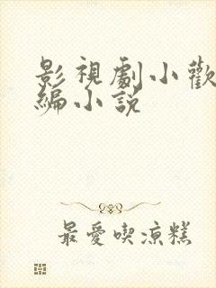 影视剧小欢喜改编小说