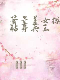 萧晨美女总裁的贴身兵王