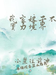 我家娘子不对劲实力境界