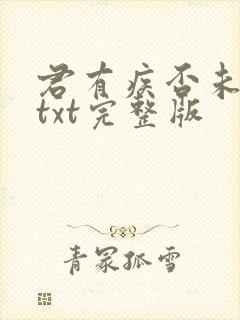 君有疾否未删减txt完整版