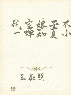 我家娘子不对劲一蝉知夏小说全集txt