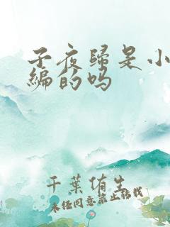 子夜归是小说改编的吗