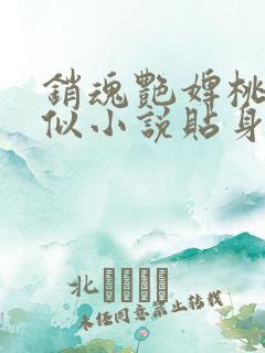 销魂艳婢桃儿类似小说贴身丫鬟