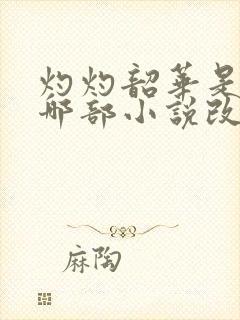 灼灼韶华是根据哪部小说改编的