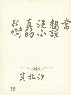 我真没想当皇帝啊的小说