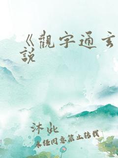 《观字通玄》小说