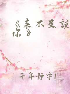 《来不及说我爱你 》