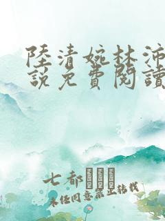 陆清婉林沛琛小说免费阅读最新章节