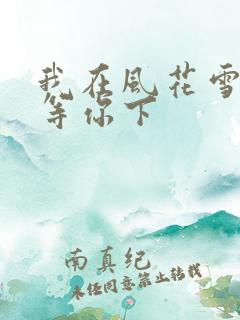 我在风花雪月里等你下
