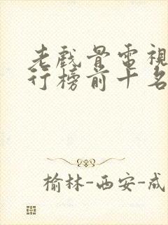 老戏骨电视剧排行榜前十名