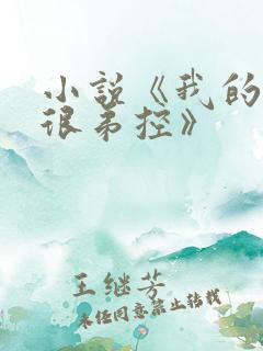 小说《我的姐姐很弟控》