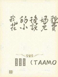 我的后妈貌美如花小说免费