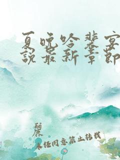 夏晚吟裴宴白小说最新章节更新内容