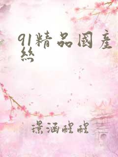 91精品国产黑丝