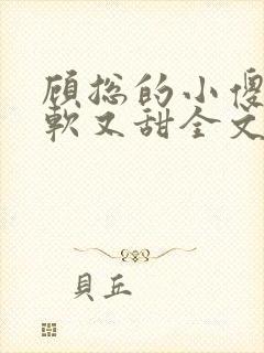 顾总的小傻子又软又甜全文免费阅读小说