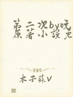 第二次by晚月原著小说免费阅读