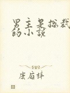 男主是总裁姓沈的小说