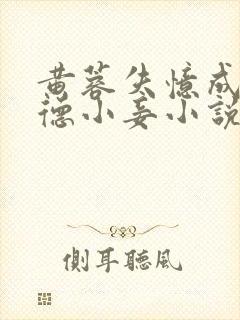 黄蓉失忆成吕文德小妾小说