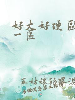 好大好硬 欧美一区