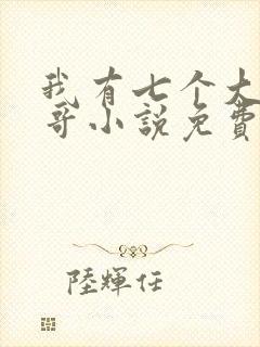 我有七个大佬哥哥小说免费阅读无弹窗