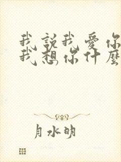 我说我爱你我说我想你什么歌