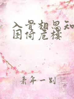 入骨相思知不知困倚危楼