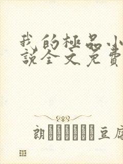 我的极品小姨小说全文免费